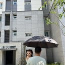 오송 메가커피 지구멜론스무디, 허니자몽블랙티 후기