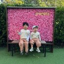 JP하우스 | [보령] 수영장+키즈존이 있는 키즈풀빌라🌊 JP하우스 202호