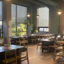 우테일러 이미지