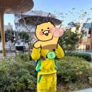 백산자연유치원 | 옥련 유치원 재원 후기