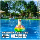 팔도실비집 부천원미점 | 서울 근교 부천 인천 강아지 수영장 렛츠플레이독