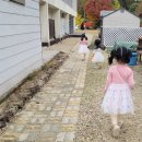 동신미곡처리장 | 마로니에 숲 캠핑장 아이 캠퍼 핼러윈 캠핑 후기