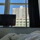 에이원호스텔 | [태국 파타야, 방콕] 2일차 - 현지인 느낌 나는 방콕으로 이동, 카오산로드 + 럭키비어(부제: 길거리...
