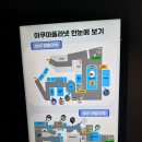 샤크빌리지7 | 광교 아쿠아플라넷 후기, 폭염도 잊게 만든 3시간 실내 나들이 코스