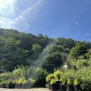 자연을그리는사람들 이미지