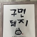 구면돼지 이미지