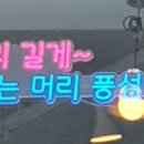 블랙펄헤어