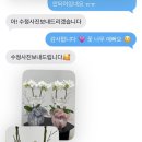 제이미플레르