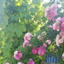 적상면사무소 이미지