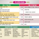 대저 이미지