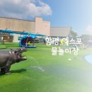 함평엑스포공원 | 함평엑스포공원 물놀이장 완전정복 리뉴얼 후기 파도풀 꿀팁