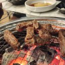 웃는고기 이미지