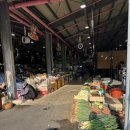 고성오일시장 | 제주 고성 오일장 날짜 시장 먹거리 볼거리 주차 후기