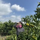 한라앤탐 이미지