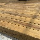 배영순 해장국감자탕 이미지