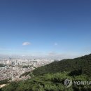 맑은하늘 이미지