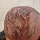 리앤박 | [여의도 미용실] 리앤박헤어 염색 후기