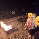 우리마트 사천점 | 내돈내산) 경남 사천 글램핑 캠핑🏕️ / 인피니티 수영장 🌊- 비토노을숲 🐢/ 솔직후기 / 캠핑일기