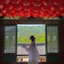세향다원 | [춘천] 청평사 : 소양호 유람선 시간, 자리 꿀팁, 청평사 소요시간, 복장, 오봉산 음료수 추천