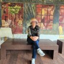 제주도 여행사 추천 버스투어도 가능한 제주여행파트너 렌트카 후기