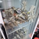 금강산찜한정식 이미지