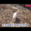 추억의 팔공산 산행 이미지