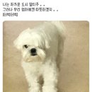 참 이미지