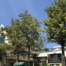 럭키아이콘 | [나이쏘이,아이콘시암,왓아룬]/로미여행/태국여행