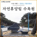 태안 안면도 가볼만한곳 자연휴양림 안면도수목원 입장료 주차장 후기