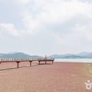 석모도 이미지