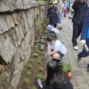 인천해서초 이미지