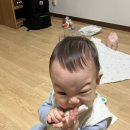 김서방 대게민박 | 아기랑 제주도 3박 4일 여행] 겨울제주도 2일차 - 김서방재첩해장국, 마미포유, 에어비엔비, 렛츠런파크...