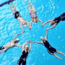 타잔비엔지 이미지