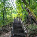 아치울길 이미지