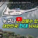 호사마 TV 이미지