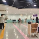 공존의 행복 이미지