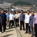 영춘석재
