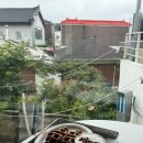 수원 행궁동 카페 키프, 루프탑 애견동반 솔티카라멜크로플 후기