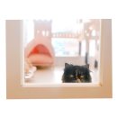 그루밍캣 압구정점 이미지