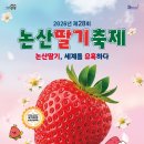 홀리다 충남일보