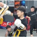 스타체육관 이미지