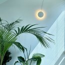 오아시스헤어 이미지