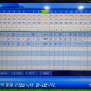 보니치니 골프랜드 네이버블로그