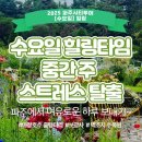 2025 파주시티투어 당일코스(화요일) | 2025 파주시티투어 웹사이트 및 상품 상세페이지 개편 안내