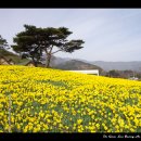 민생지원금 이미지