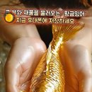 장가네