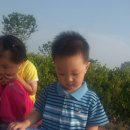 한밭한의원 이미지