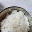 해단횟집 | 물메기탕, 생선매운탕 맛집 경남 고성 해단횟집