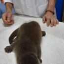 도원동물병원 연합뉴스