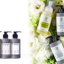 샴프네집 이미지